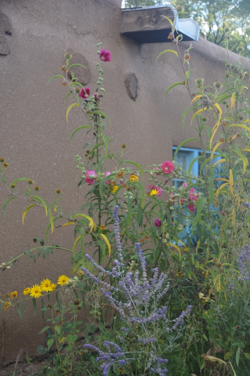 flower garden